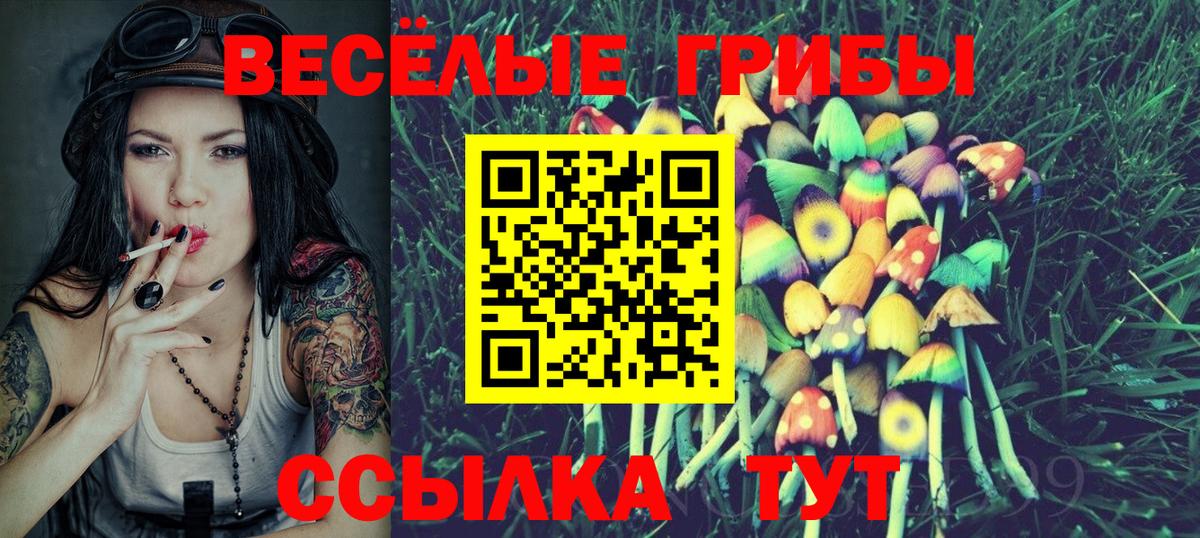 Шатура  Псилоцибиновые грибы прущие грибы  Вход с VPN 