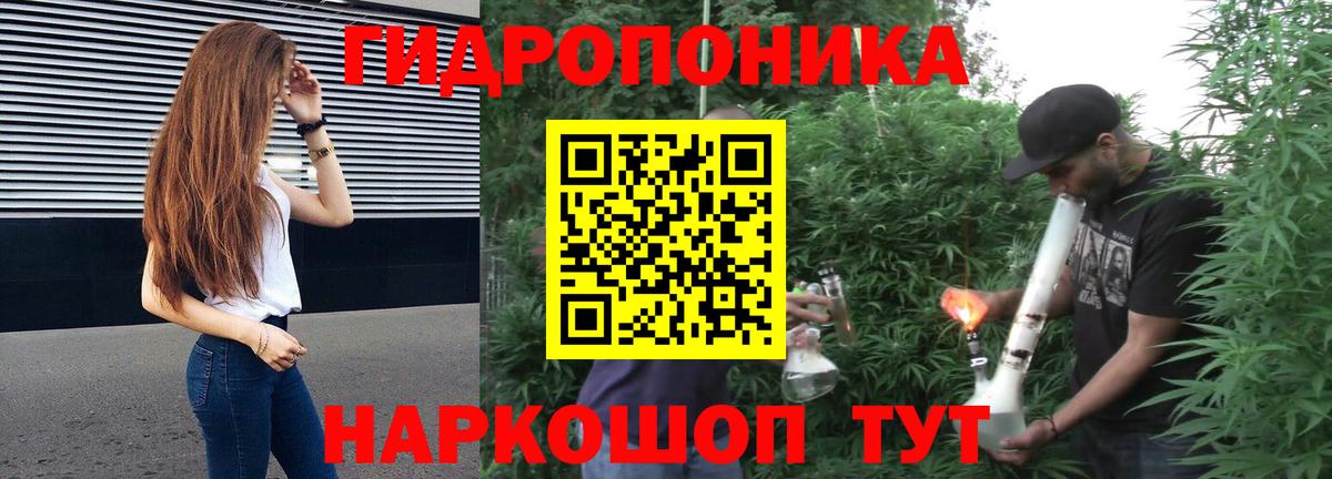 Конопля семена  Вход с VPN  МАРИХУАНА гибрид  Шатура  Канабис планчик 